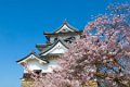 Japan2030 Hikone Castle