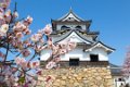 Japan2038 Hikone Castle