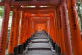 Japan1904 Fushimi Inari