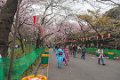Japan1207 Ueno Park