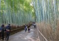 Japan3491_Bamboo path Kyoto