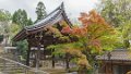 Japan3614_Eikan-do temple Kyoto