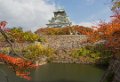 Japan4353_Osaka Castle