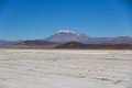 1890 Altiplano Landschap