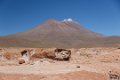 1902 Altiplano Landschap