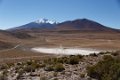1910 Altiplano Landschap