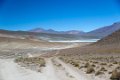1963 Altiplano  Flamiingos laguna Canapa