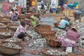 4312 Negombo Vismarkt
