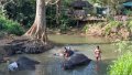 06 Sigiriya