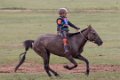 7051  Naadam paardenrace