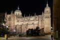 4538 Salamanca Katedraal