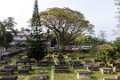 7943 Kochi Dutch cemetery