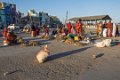 8994 Diu-Vanakbara Visserijhaven