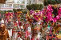 9927 Kavant Ger Mela