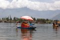 0341 Srinagar Dalmeer