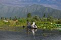 0352 Srinagar Dalmeer