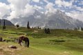 0587 Sonamarg Wandeling naar Thajiwas gletcher