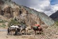 1023 Pukhtal Gompa