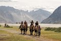 1522 Nubra vallei Zandduinen en kamelen