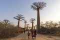 0185 Allee des Baobab Zonsondergang