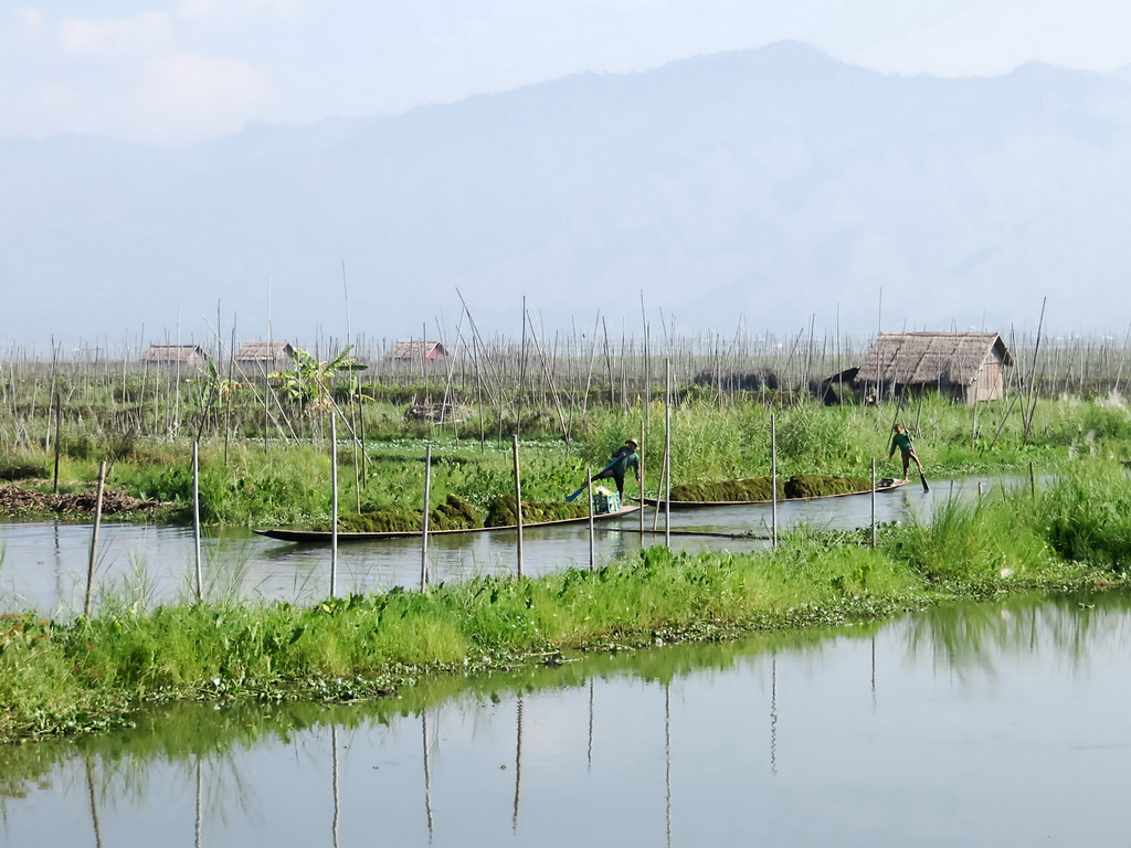 0343_Inle Drijvende tuinen.JPG