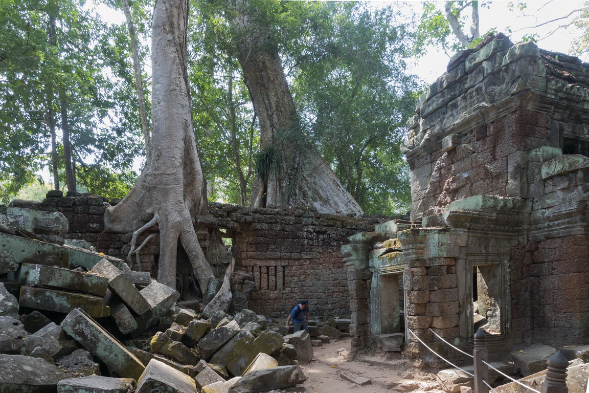 0909 Siem Reap Ta Prohm.jpg