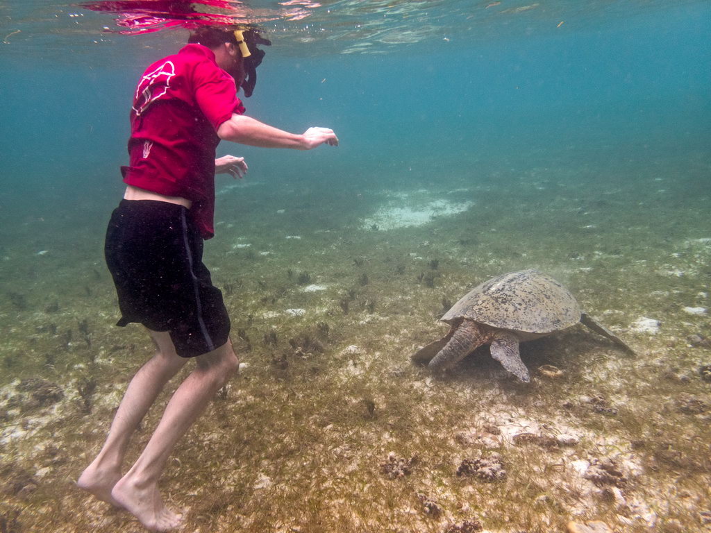 0302 Derawan Onder water.jpg