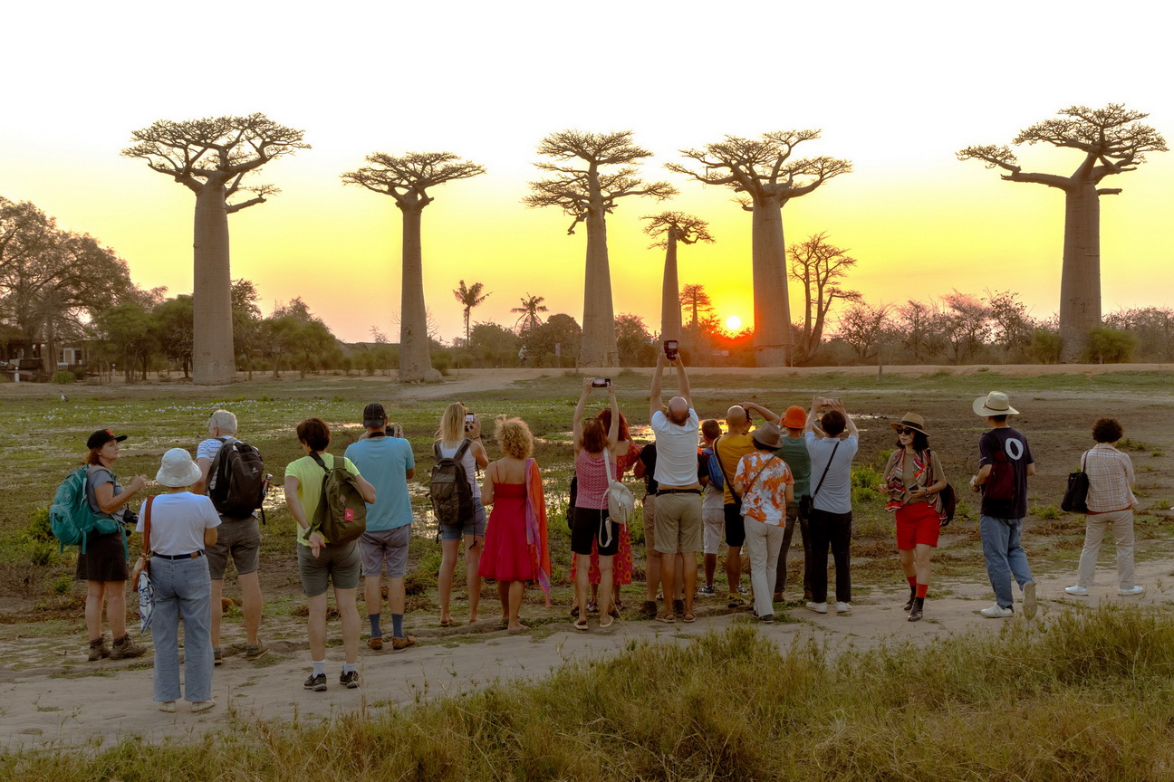 0207 Allee des Baobab Zonsondergang.jpg