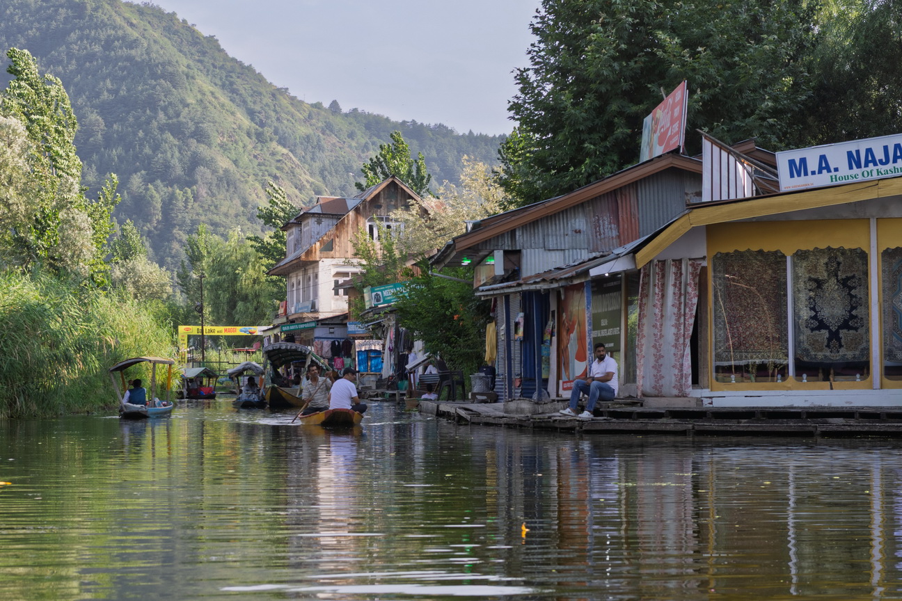 0361 Srinagar Dalmeer.jpg