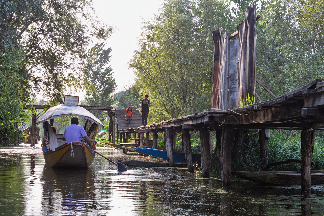 0362 Srinagar Dalmeer.jpg