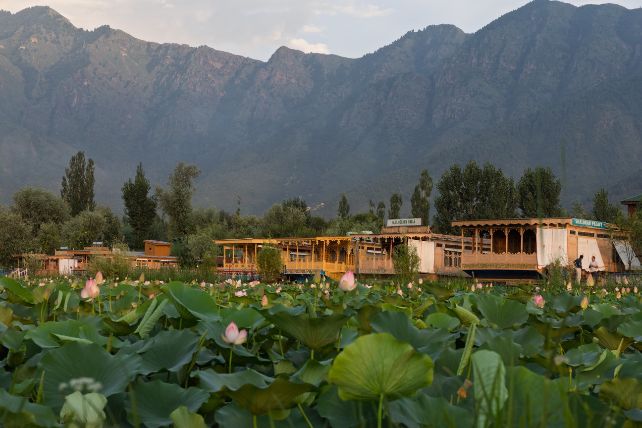 0548 Srinagar Dal meer.jpg