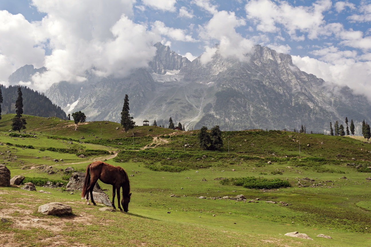 0587 Sonamarg Wandeling naar Thajiwas gletcher.jpg