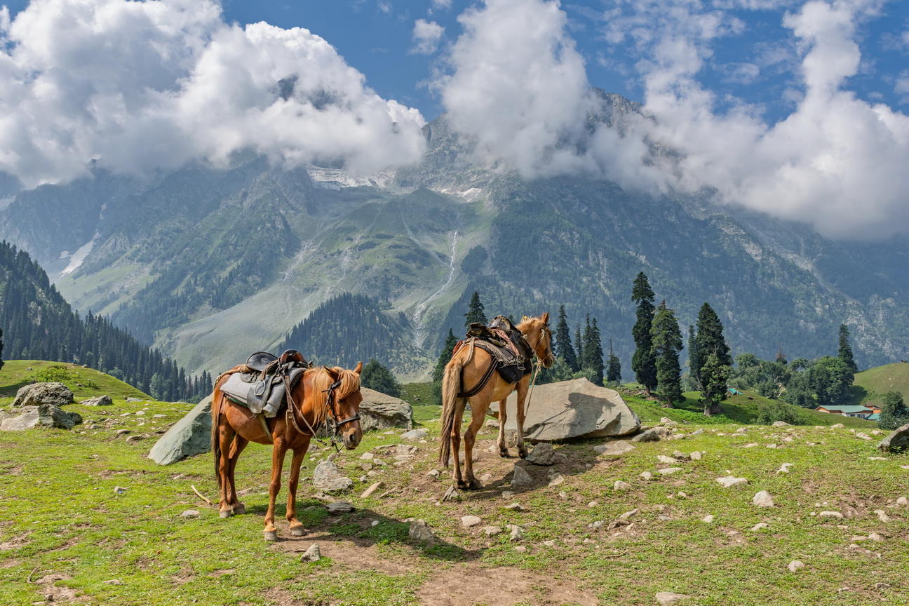 0593 Sonamarg Wandeling naar Thajiwas gletcher.jpg