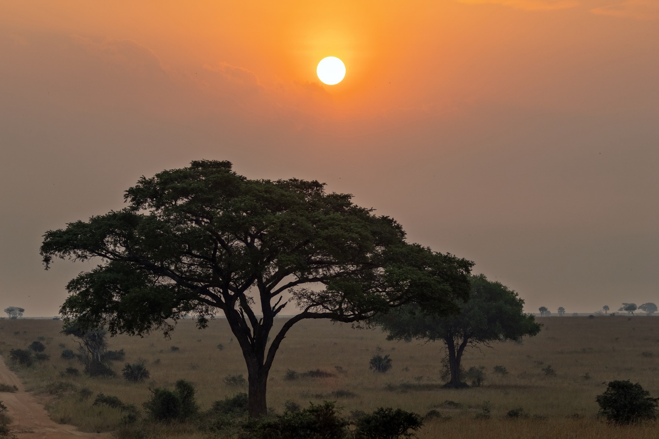 4190 Murchison NP Zonsopkomst.jpg
