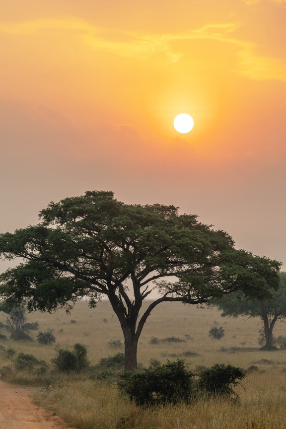 Murchison NP Zonsopkomst.jpg
