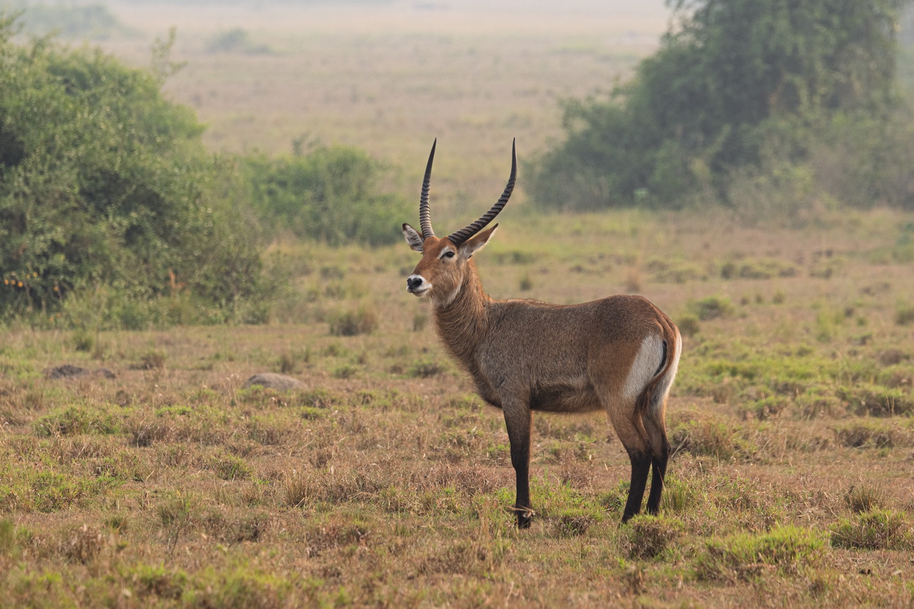 4700 Q E Park Defassa Waterbok.jpg
