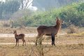 4758 Q E Park Defassa Waterbok