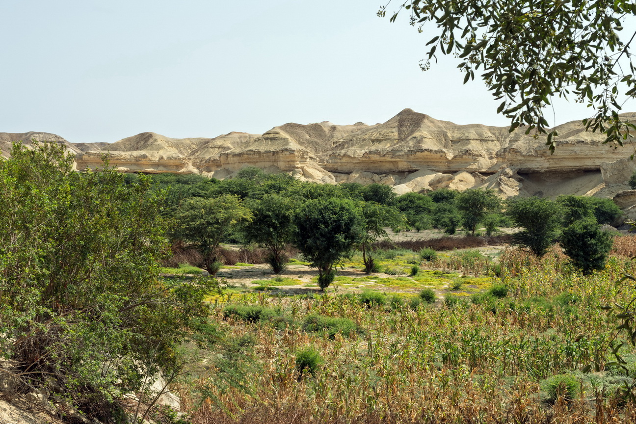7779 Arcos Lagoon Arch.jpg