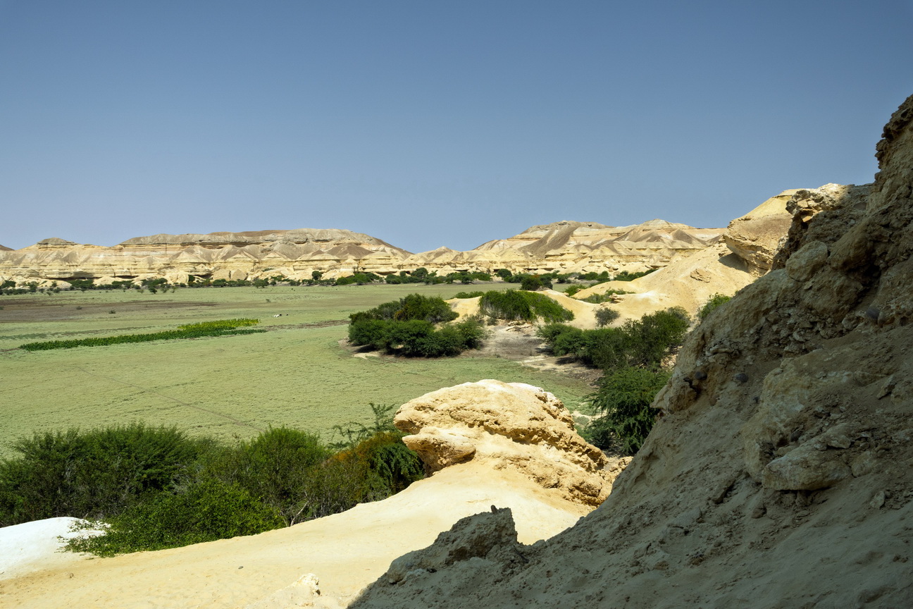 7788 Arcos Lagoon Arch.jpg