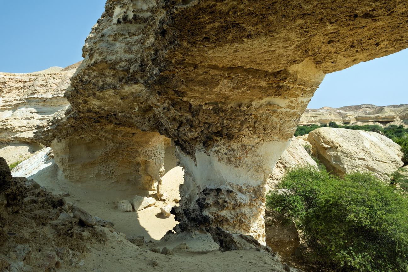 7789 Arcos Lagoon Arch.jpg