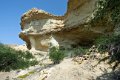 7770 Arcos Lagoon Arch