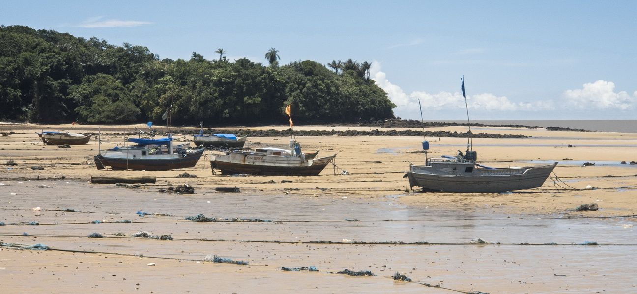 125437 Marajo eiland_.jpg