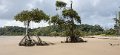110108 Marajo eiland Strand