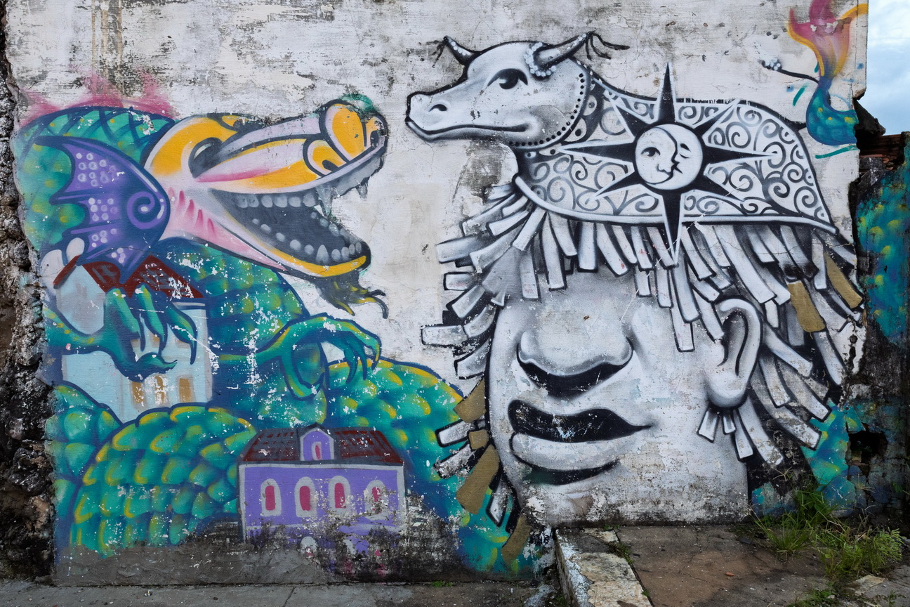 6505 Sao Luis Straatkunst.jpg