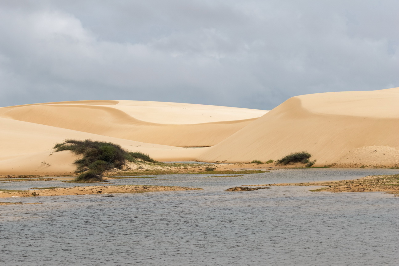6619 Barreirinhas Lencois Maranhenses NP.jpg