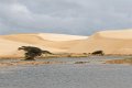 6619 Barreirinhas Lencois Maranhenses NP
