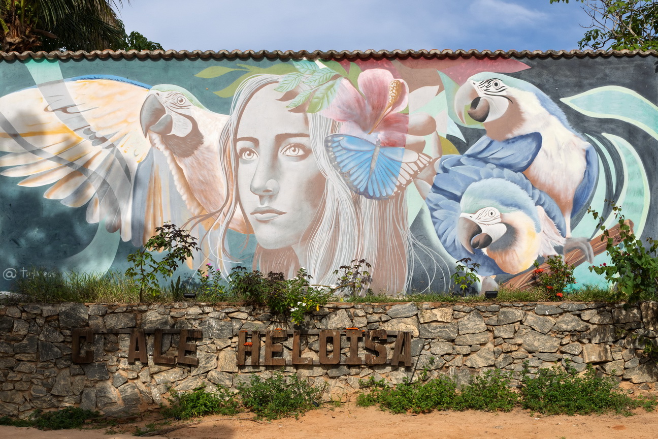 6781 Jericoacoara Straatkunst.jpg