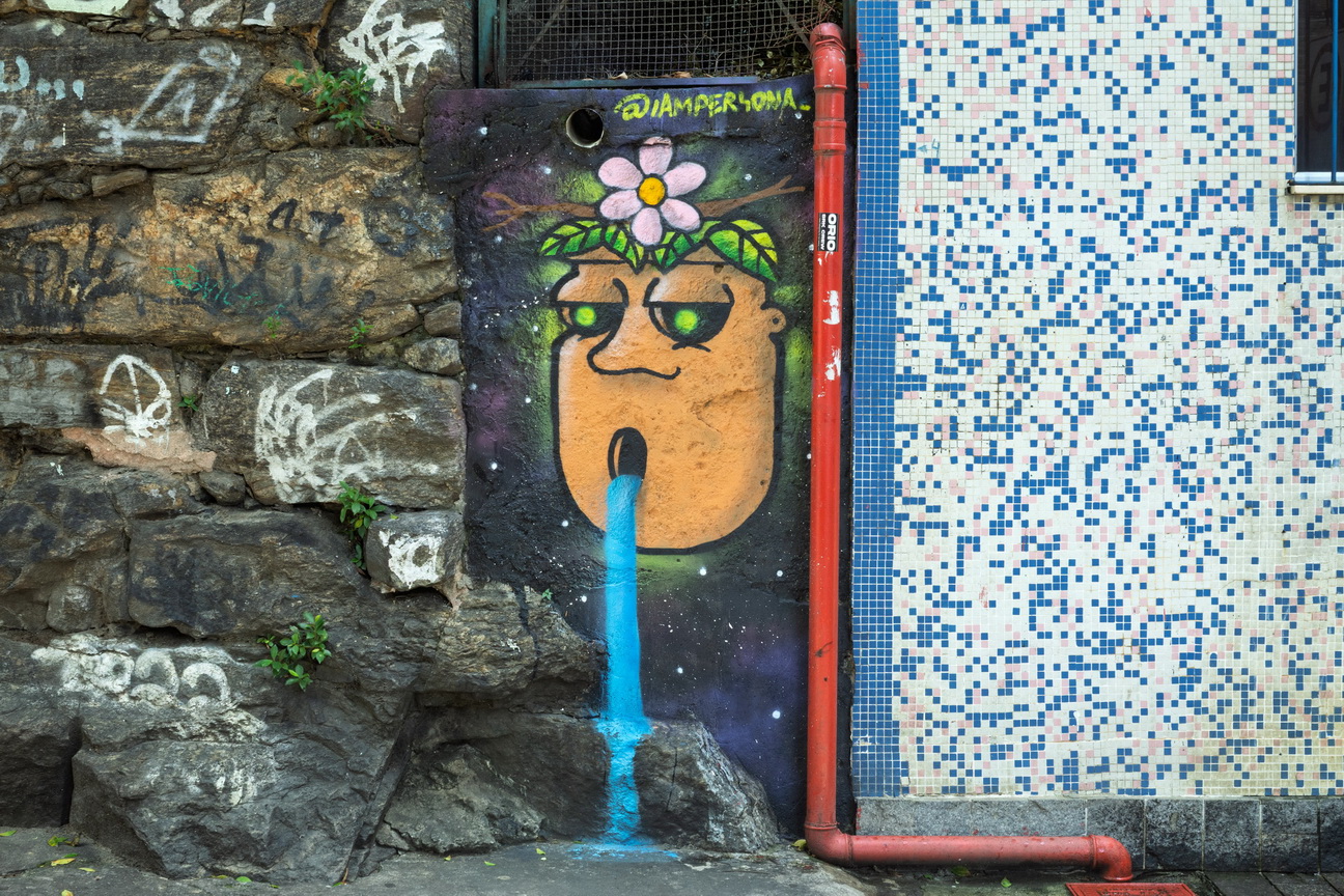 7547 Rio Straatkunst.jpg