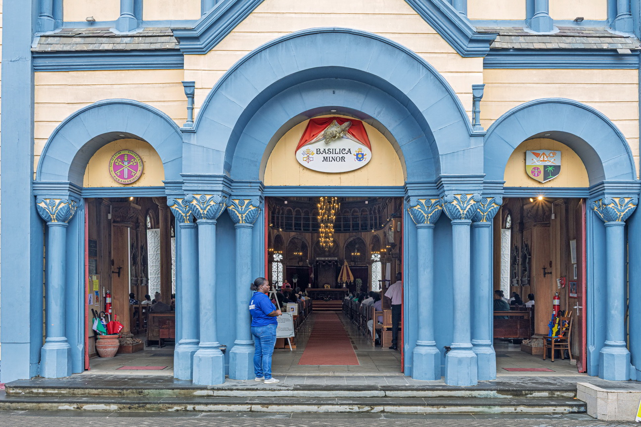 5645 Paramaribo Baseliek.jpg